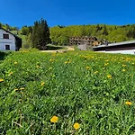 Le Ginestre